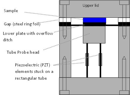 Schematic longitudinal section of PAV cell